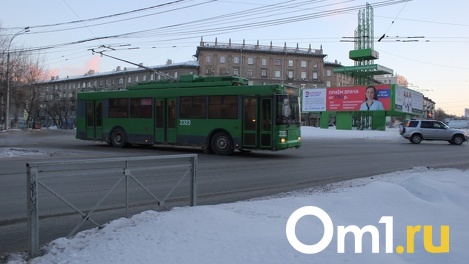 Упавшие рога троллейбуса разбили зеркало автомобиля в Новосибирске