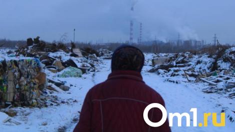 Гигант-производитель электроники в Новосибирске загрязнял окружающую среду