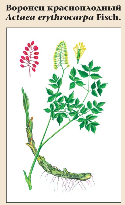 Изображение фоторепортажа