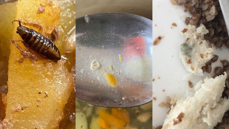 Тараканы и черви в еде: прокуратура проверит школу под Новосибирском