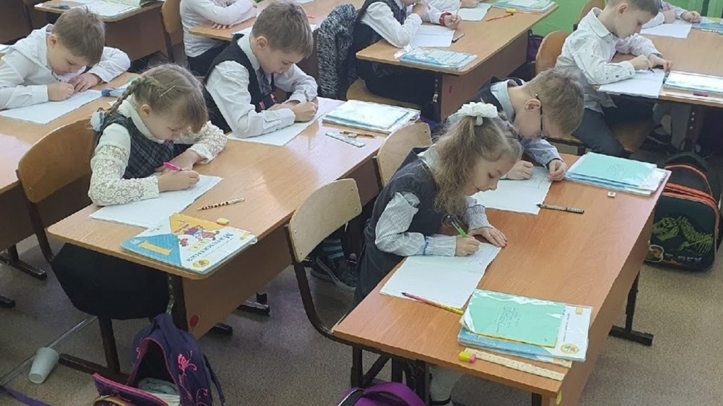 Выцветает и линяет: мать из Новосибирска возмутилась качествам обязательной школьной формы