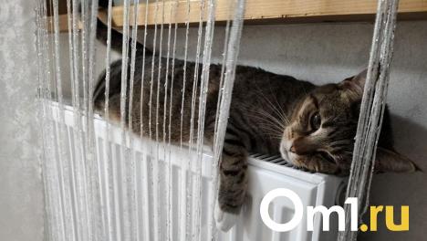 В 2024 году более тысячи омичей получили компенсации за переход с печного отопления на газовое