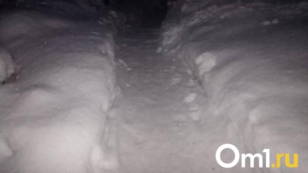 Из-за переметённой дороги жители омской деревни оказались отрезаны от цивилизации