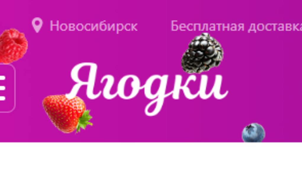 Интернет-магазин Wildberries сменил название