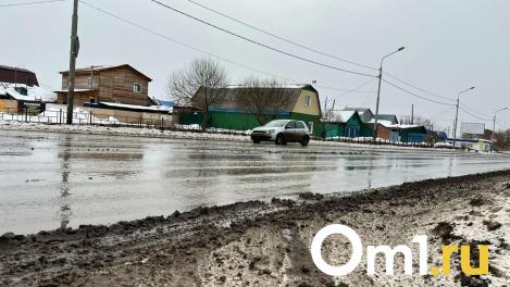В Омской области начинается оттепель