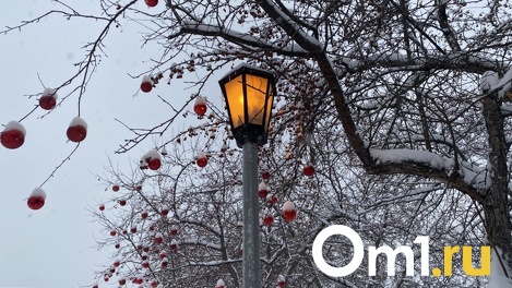 Новосибирские синоптики объяснили тёплую зиму 2021–2022