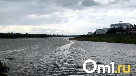 Иртыш под Омском экстремально загрязнён ртутью