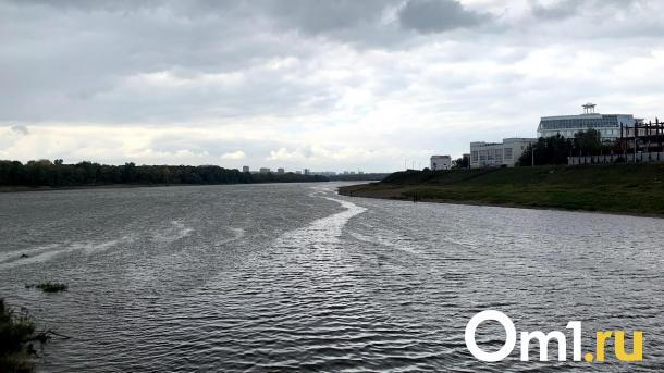 Иртыш под Омском экстремально загрязнён ртутью