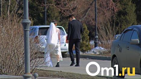 Больше 150 пар: омичи примут участие во Всероссийском свадебном фестивале