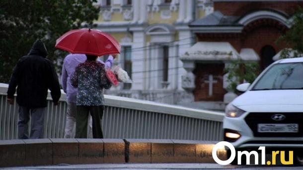 Новые напасти: омичей вновь может настигнуть непогода