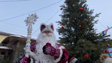 Дед Мороз откроет резиденцию в Новосибирском зоопарке: горожан зовут на праздник