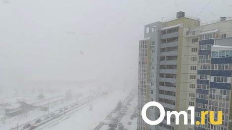 Рабочая неделя в Омске начнётся с тумана, гололёда и изморози