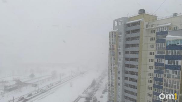 Рабочая неделя в Омске начнётся с тумана, гололёда и изморози