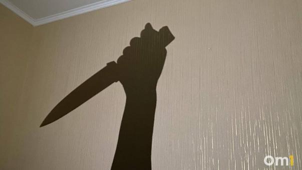 Чудом выжил: в Омске мать ударила сына ножом в сердце