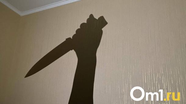 Чудом выжил: в Омске мать ударила сына ножом в сердце