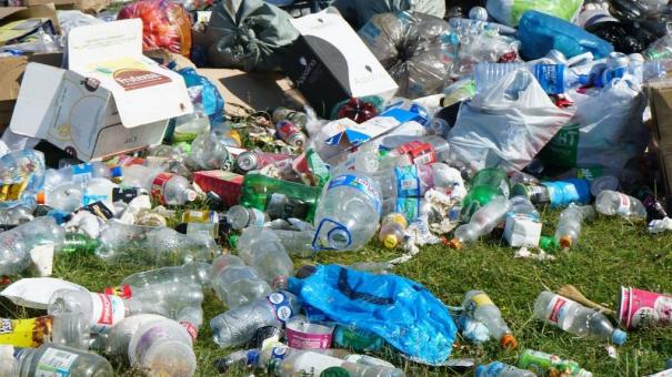 Более 3 млрд рублей вложат в мусорный полигон в Новосибирской области