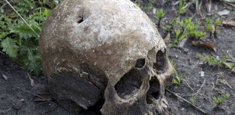 В частном секторе Омска нашли на улице человеческий череп