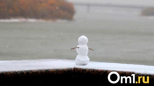 Снег, метель и заносы: на выходных в Омскую область вернётся зима