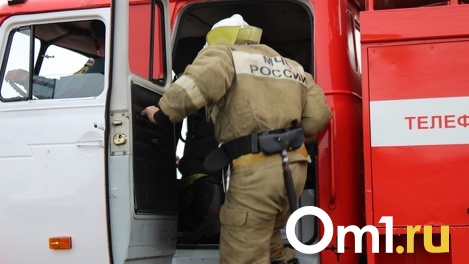 Следователи возбудили уголовное дело после гибели отца и 3-летней дочери в пожаре под Новосибирском. ФОТО