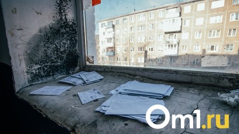 В Омске трубу отопления проложили прямо по асфальту