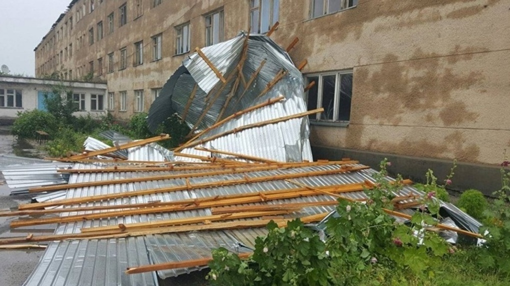 Валило деревья и ломало крыши: причины сильного урагана в новосибирской области назвали эксперты