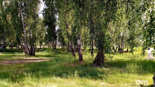 Омич, которого разыскивала полиция, около месяца жил в лесу