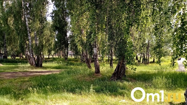 Омич, которого разыскивала полиция, около месяца жил в лесу