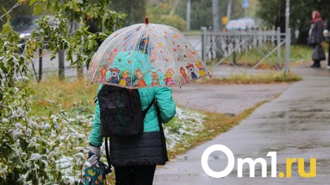 Снег с дождём и гололёд: синоптики рассказали о погоде на выходных в Омске