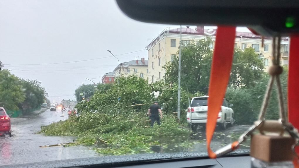 Дерево повредило газопровод? Омичи сообщают об эвакуации дома