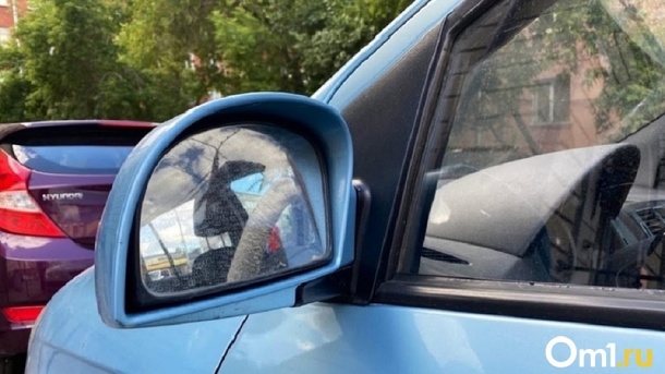 В Новосибирске назвали популярную среди угонщиков марку автомобиля