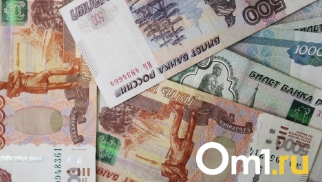 В Омске вычислили фирму-однодневку