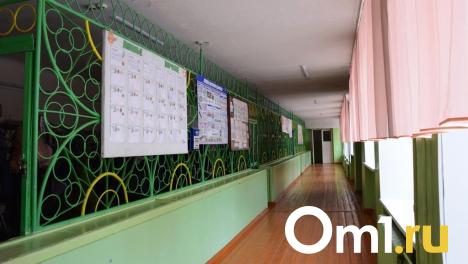 Два омских школьника сообщили о «минировании» учебного заведения