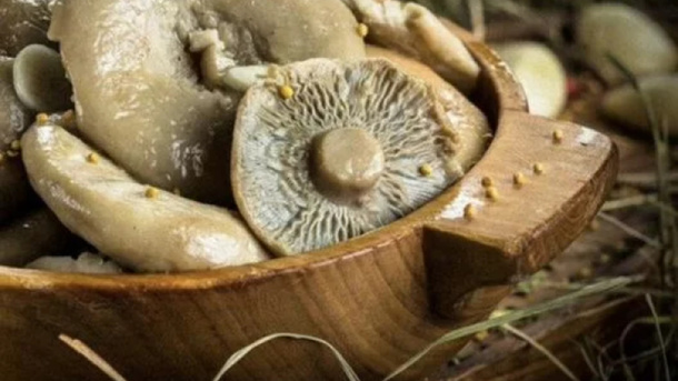 В Новосибирске банками продают солёные грузди