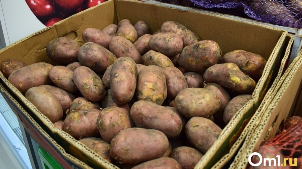 Картофель и морковь дорожает в Новосибирской области: с чем это связано