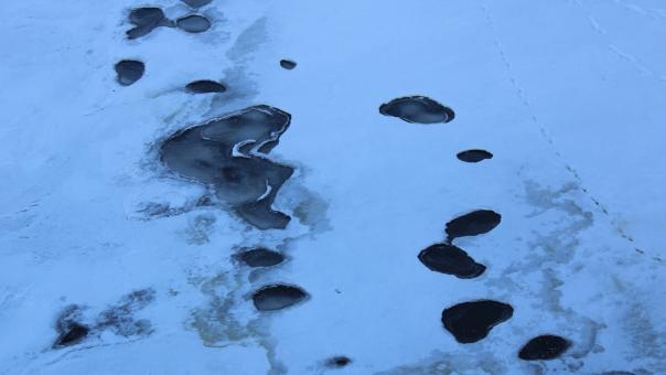 Дыхание зимы: водоёмы в Омске начали менять агрегатное состояние