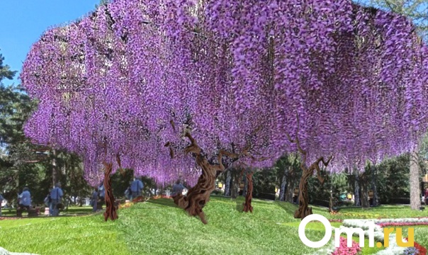 Изображение фоторепортажа