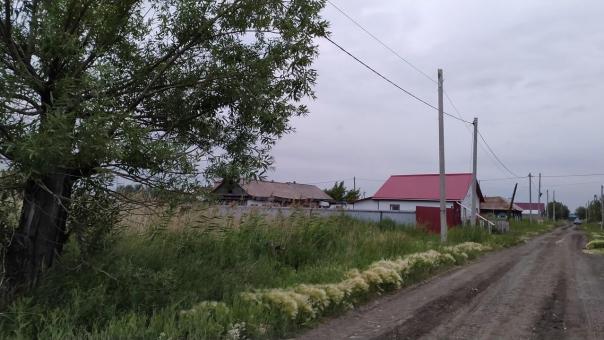 Глава Минсельхоза Омской области Дрофа рассказал об уборочной кампании в регионе