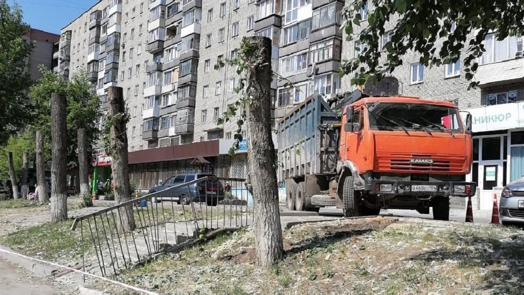 Новосибирцев возмутил снос деревьев в Октябрьском районе