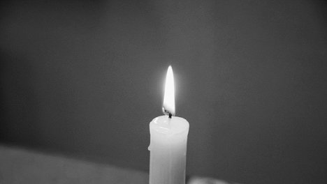 Появились новые подробности гибели пропавшего 7-летнего мальчика в Новосибирской области