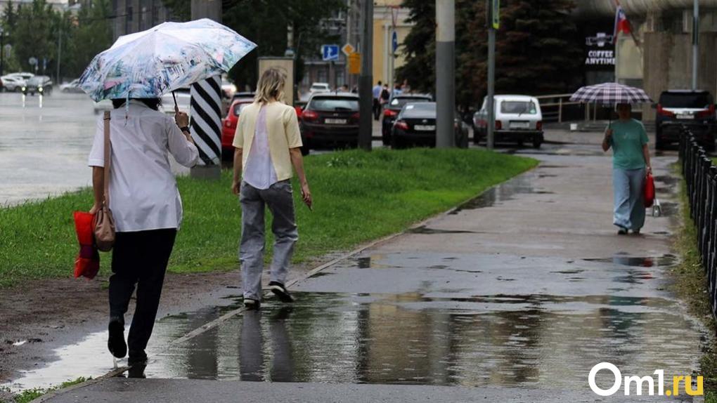 Грозы и сильный ветер: омичей ожидает дождливая неделя