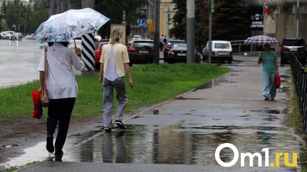 Грозы и сильный ветер: омичей ожидает дождливая неделя