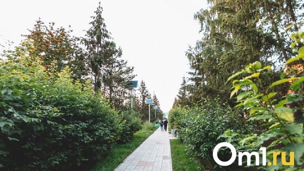 В Омске появится сквер имени Владимира Варнавского