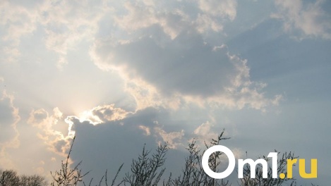 Заморозки до -1 градуса ожидаются в Новосибирске