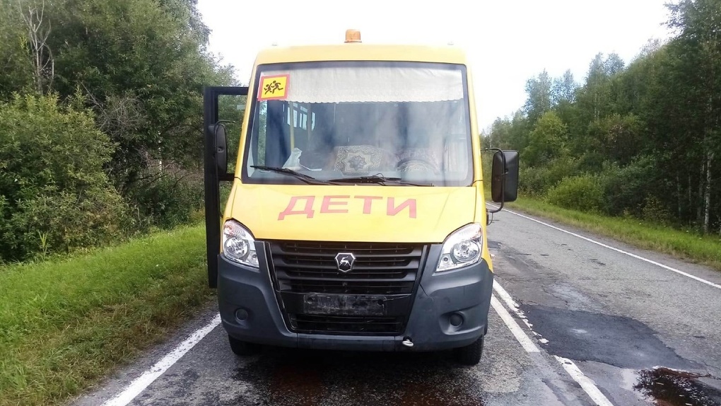Смертельное ДТП: в Омской области школьный автобус сбил косулю