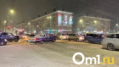 В Омске прошёл сильнейший снегопад за 100 лет