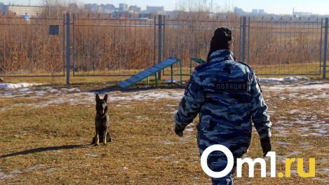 Отсюда следят за омичами: изучаем, как и где работают омские полицейские