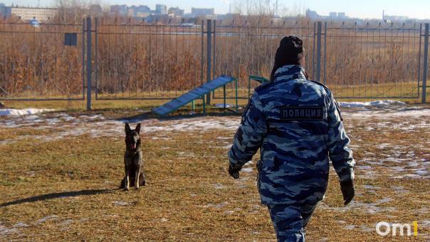 Отсюда следят за омичами: изучаем, как и где работают омские полицейские