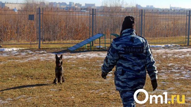 Отсюда следят за омичами: изучаем, как и где работают омские полицейские