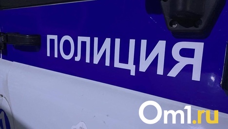 Пьяный омич устроил смертельное ДТП, сбив корову - ВИДЕО