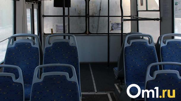 В Омске отменят ночные троллейбусы